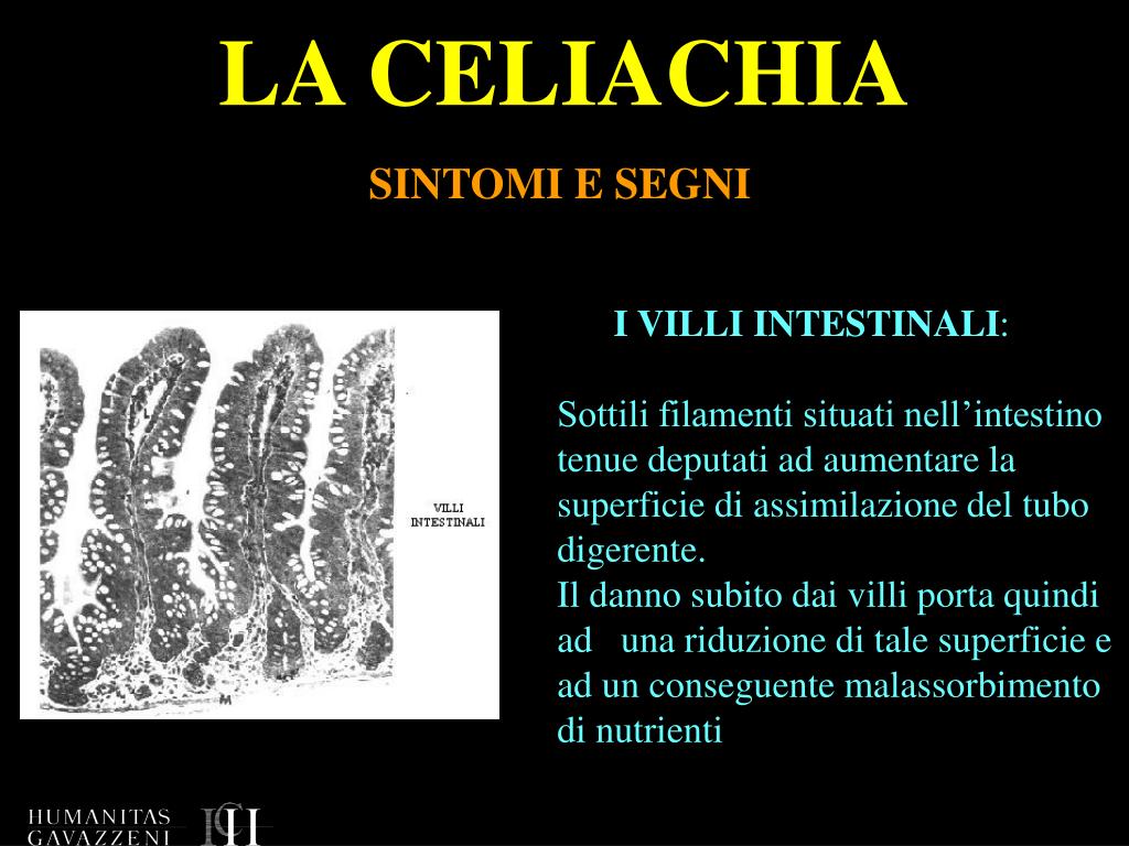PPT LA CELIACHIA PowerPoint Presentation, free download ID7093961