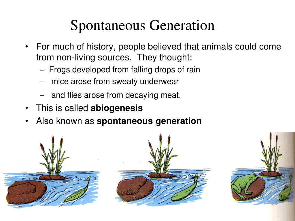 Spontaneous generation