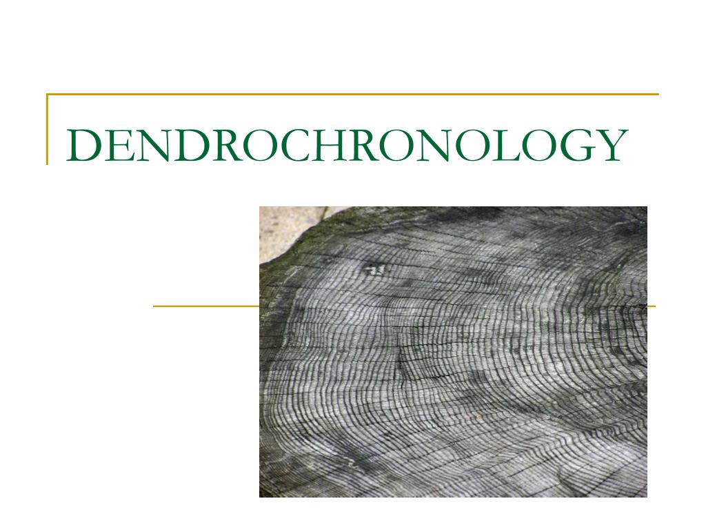 PDF) New frontiers in tree-ring research