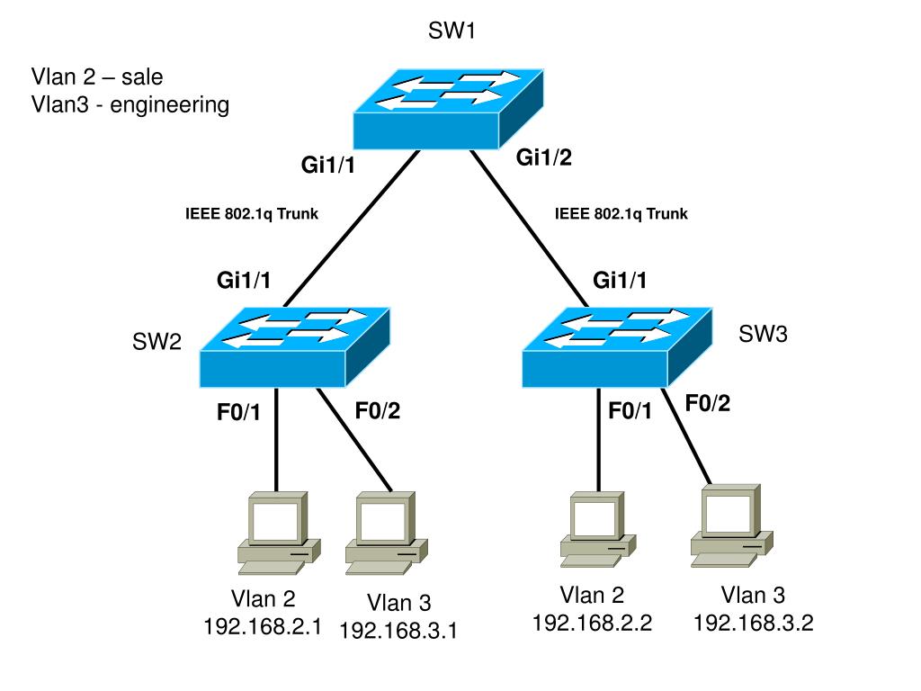 24 host. Vlan1 vlan2. VLAN И Trunk для чайников. VLAN структура пакета. Транки виртуальных сетей (VLAN)..