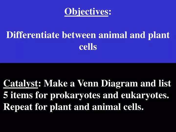 objectives differentiate between animal and plant cells n.