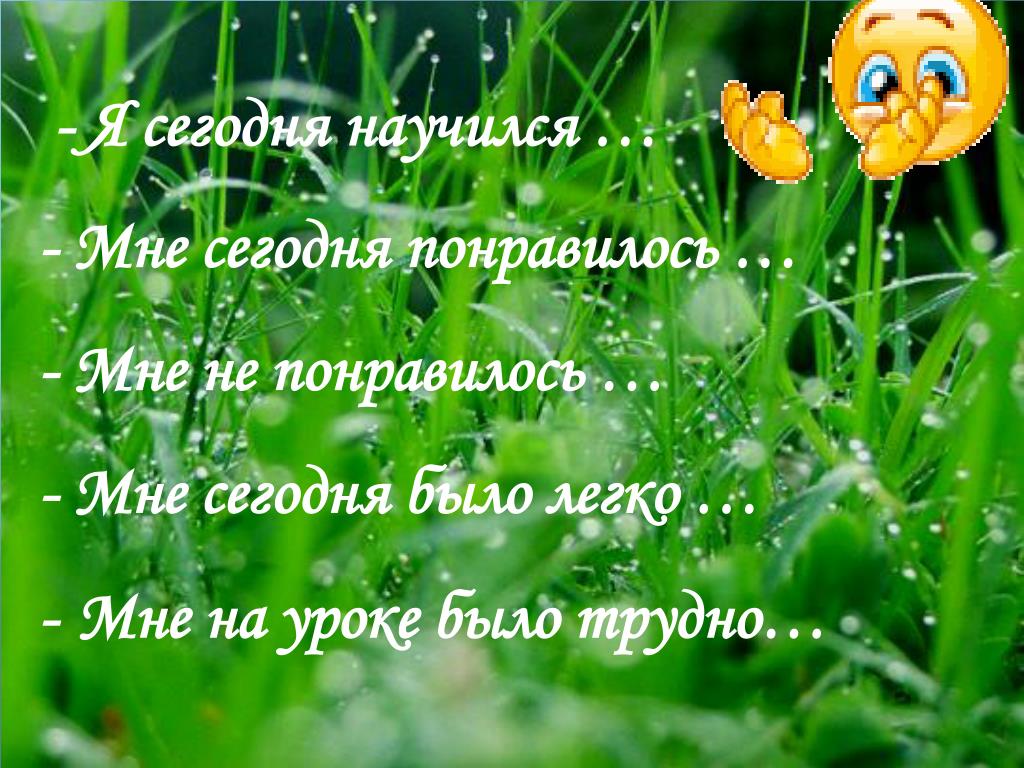 Фет стихи дождь. Стихи про весну и дождь. Дождь весной стихи. Цветы и стихи про весенний дождь. Стихи о весеннем Дожде красивые.