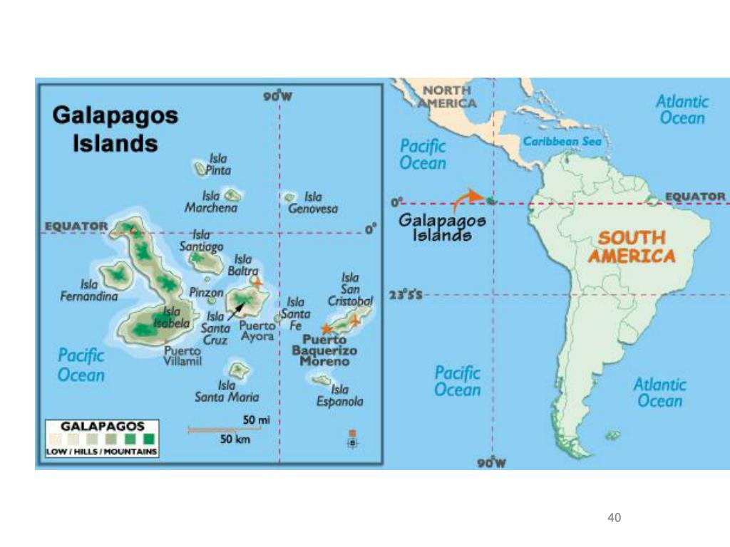 Галапагосские острова как переводится с испанского. Остров Галапагос на карте. Галапагосские острова на карте Южной Америки. Остров Галапагос на карте Южной Америки.