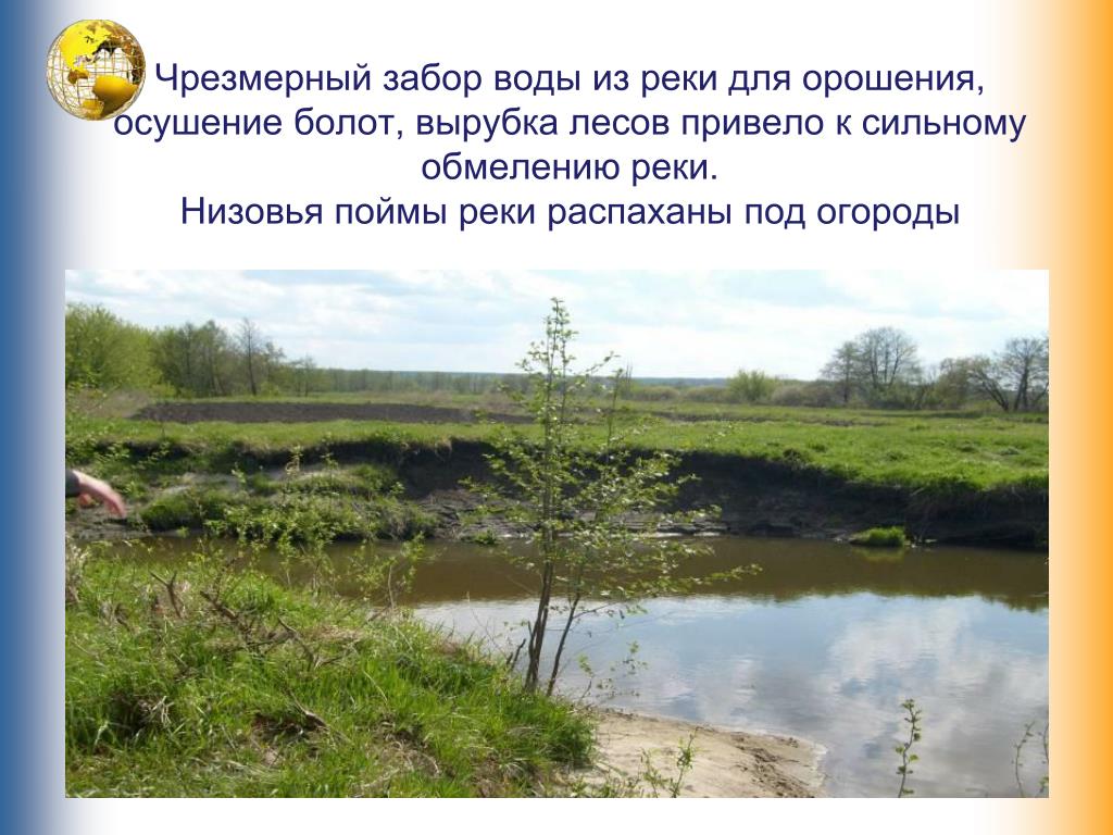 К чему приводит осушение болот. Забор воды из рек для орошения. Вырубка лесов осушение болот. Осушение болот в низовьях рек. Забор воды с реки.