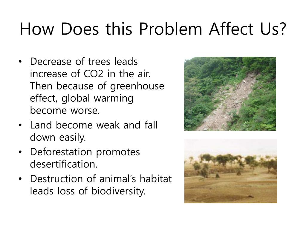 which case study shows deforestation why do you think so