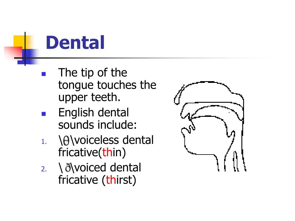 PPT Phonology & Phonatics PowerPoint Presentation, free download ID7100016