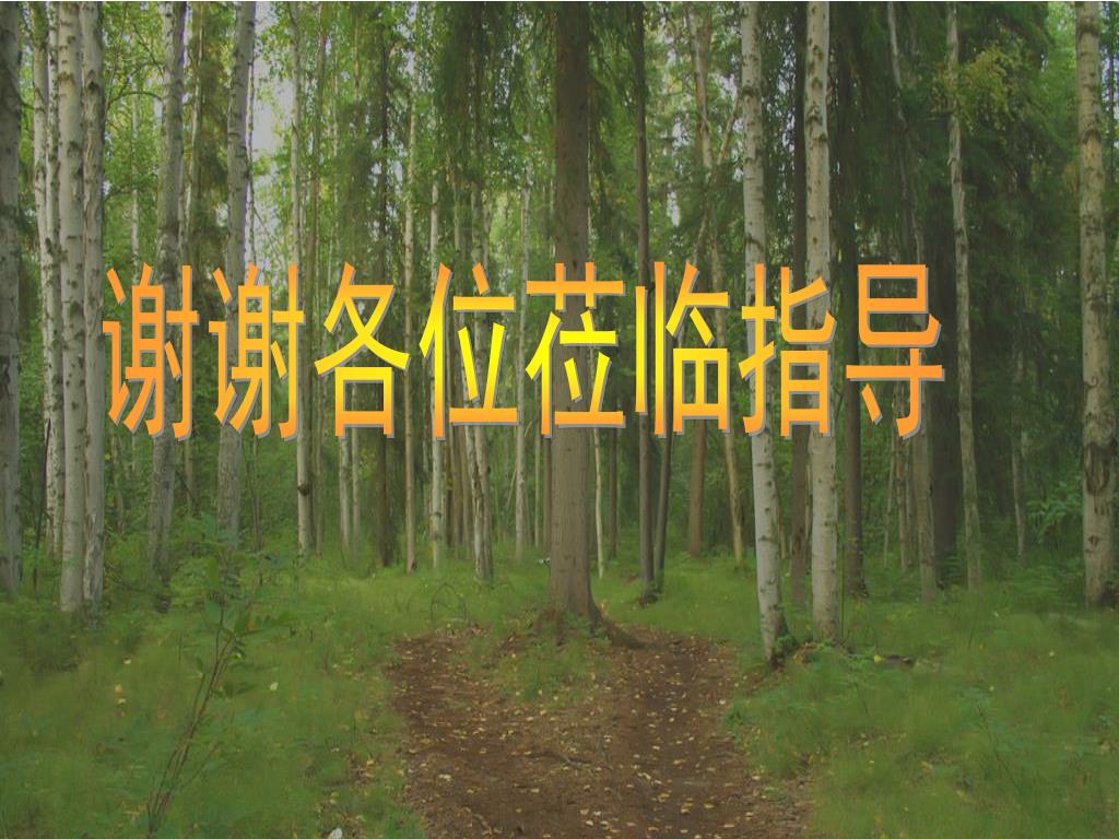 Ppt 白桦林好地方powerpoint Presentation Free Download Id Ppt 白桦林好地方powerpoint Presentation Free Download Id