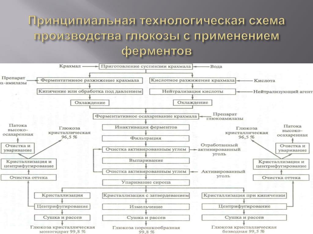 2 Технологическая схема получения очищенных ферментных препаратов - NewReferat.c