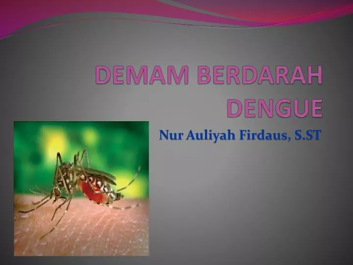 PPT DEMAM BERDARAH DENGUE PowerPoint Presentation, free download ID