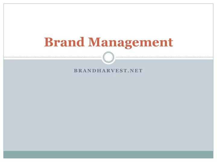 brand management n.