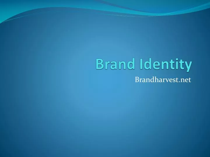 brand identity n.