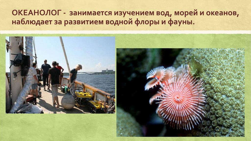 Русская Рыбалка 4. Дневной лайт - 1й отборочный. Ихтиолог. - YouTube
