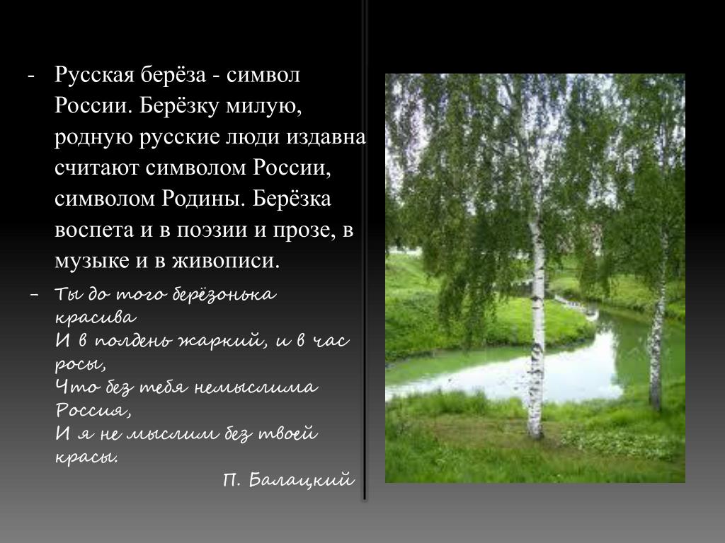 Стихотворение русская береза. Русская берёзка символ России. Береза символ России стих. Русская береза символ. Русская береза символ Родины моей.