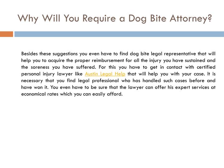 Dog Bite Lawyer Austin Dog Bite Lawyer Austin