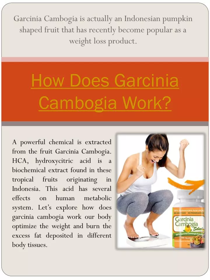 how does garcinia cambogia work n.