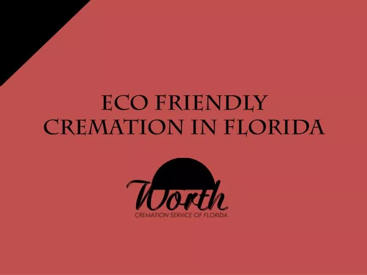 eco friendly cremation in florida n.