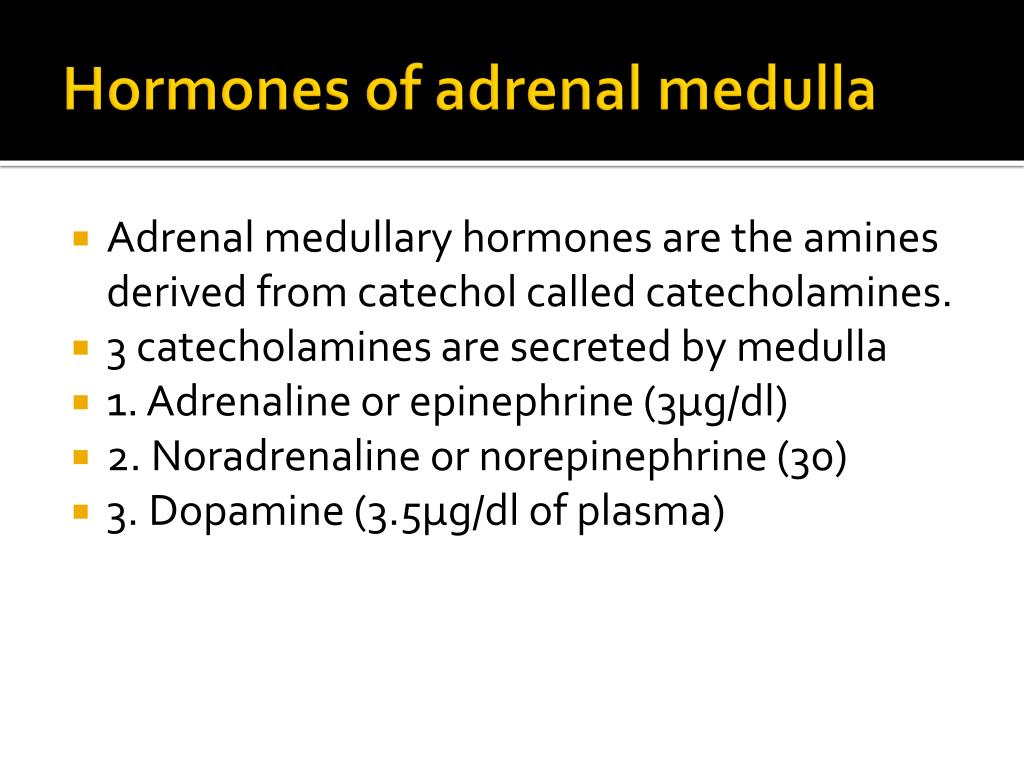 adrenal medulla hormones adrenal medulla hormones