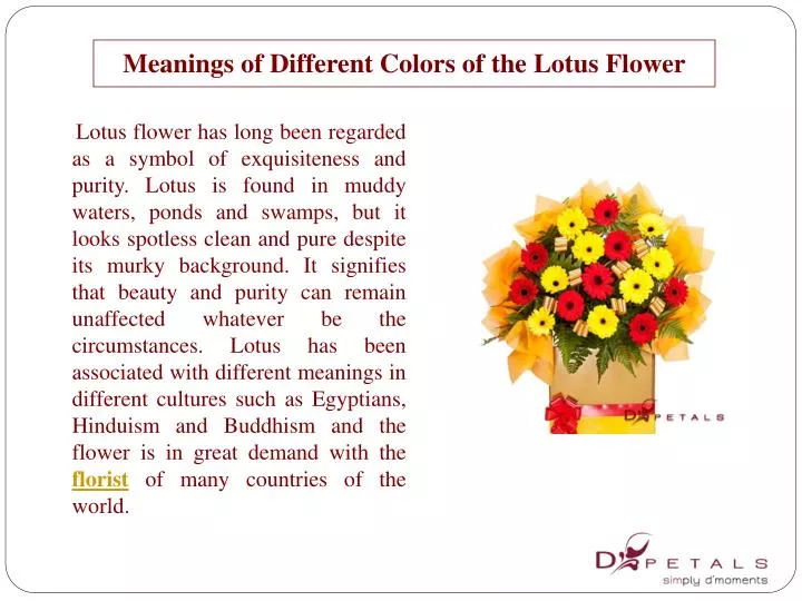 meanings of different colors of the lotus flower n.